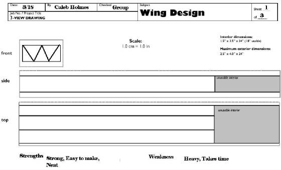 wingdesign1.jpg