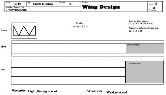 wingdesign2.jpg